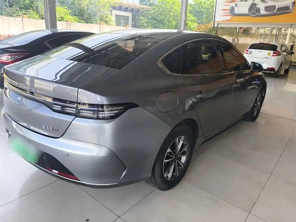 BYD Destroyer 05 2023 Champion Edition DM-i 55KM Luxury фото 7