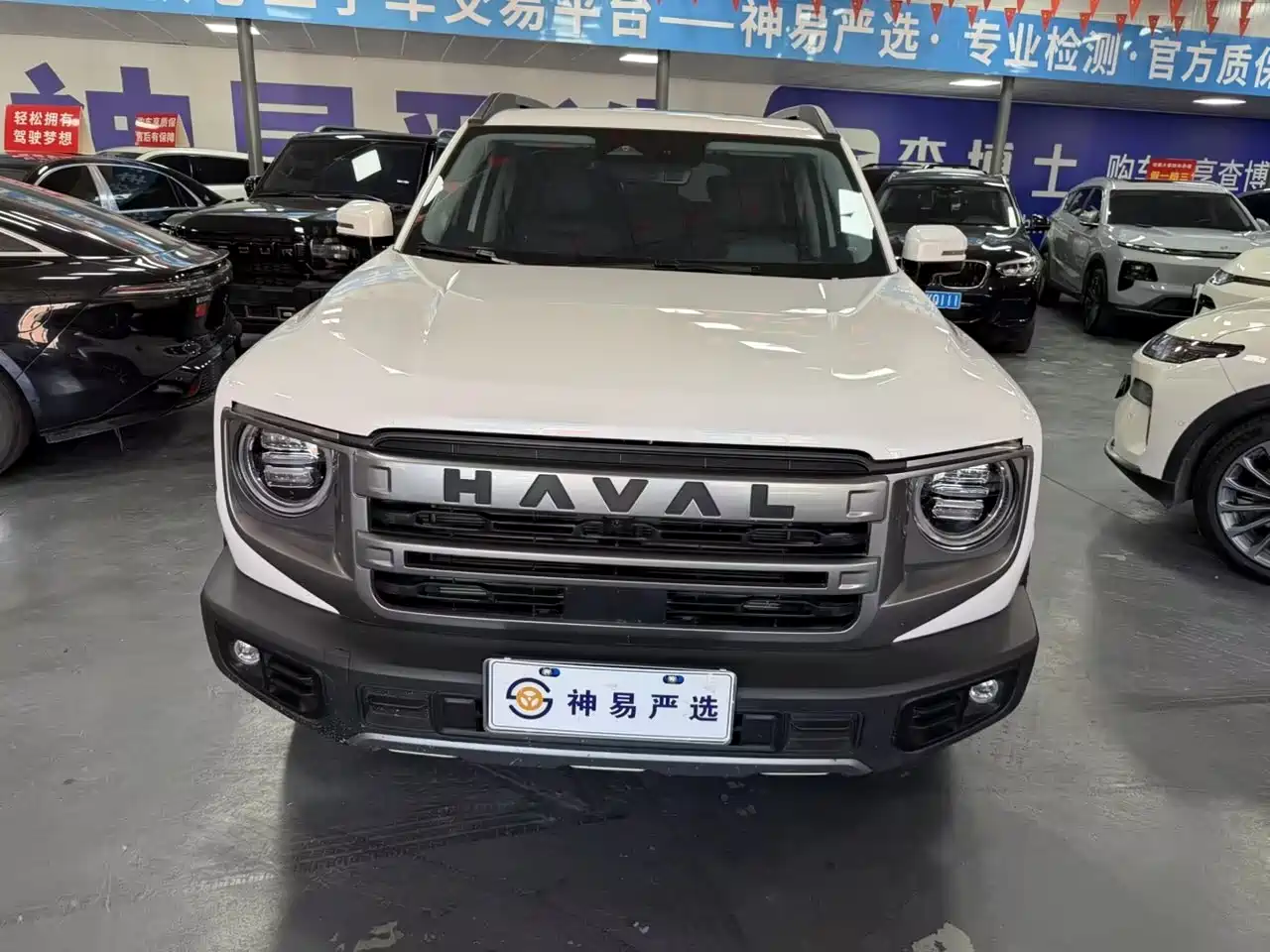 Haval Big Dog 2024 1.5T DCT Border Collie Edition фото 7