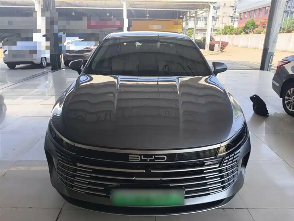BYD Destroyer 05 2023 Champion Edition DM-i 55KM Luxury фото 3