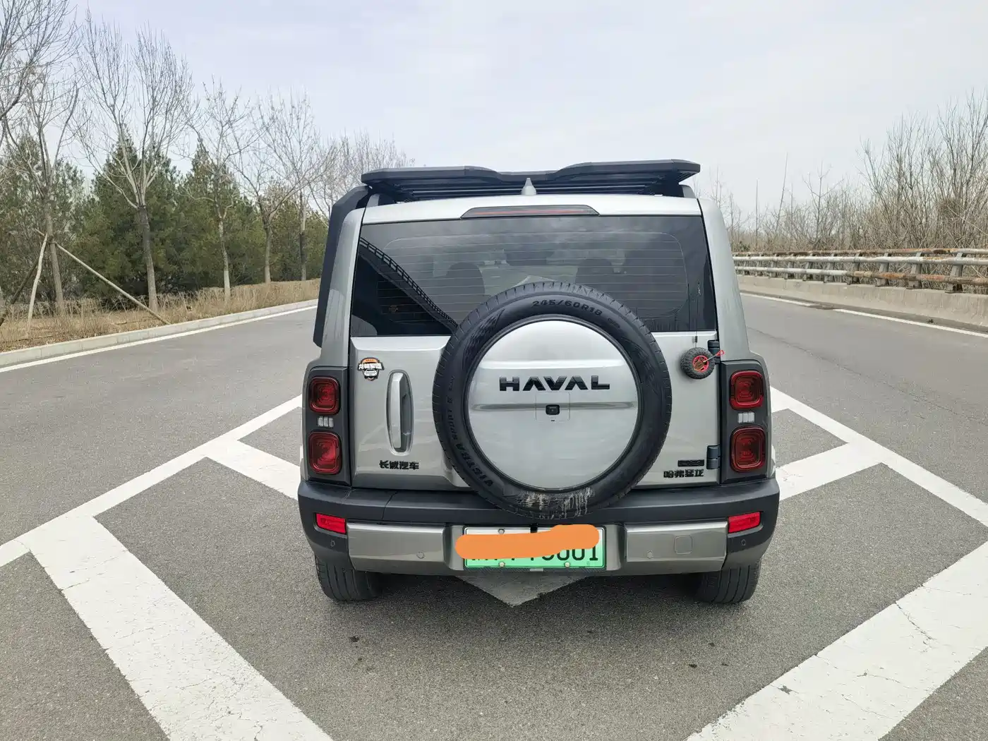 HAVAL RAPTORS NEW ENERGY