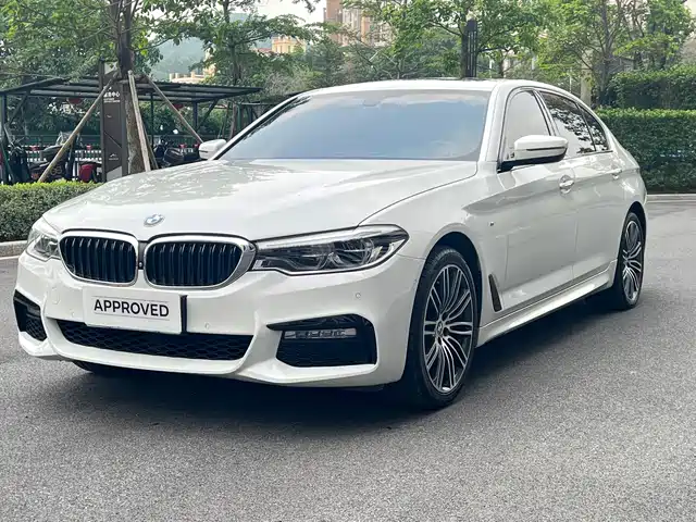BMW 5 SERIES