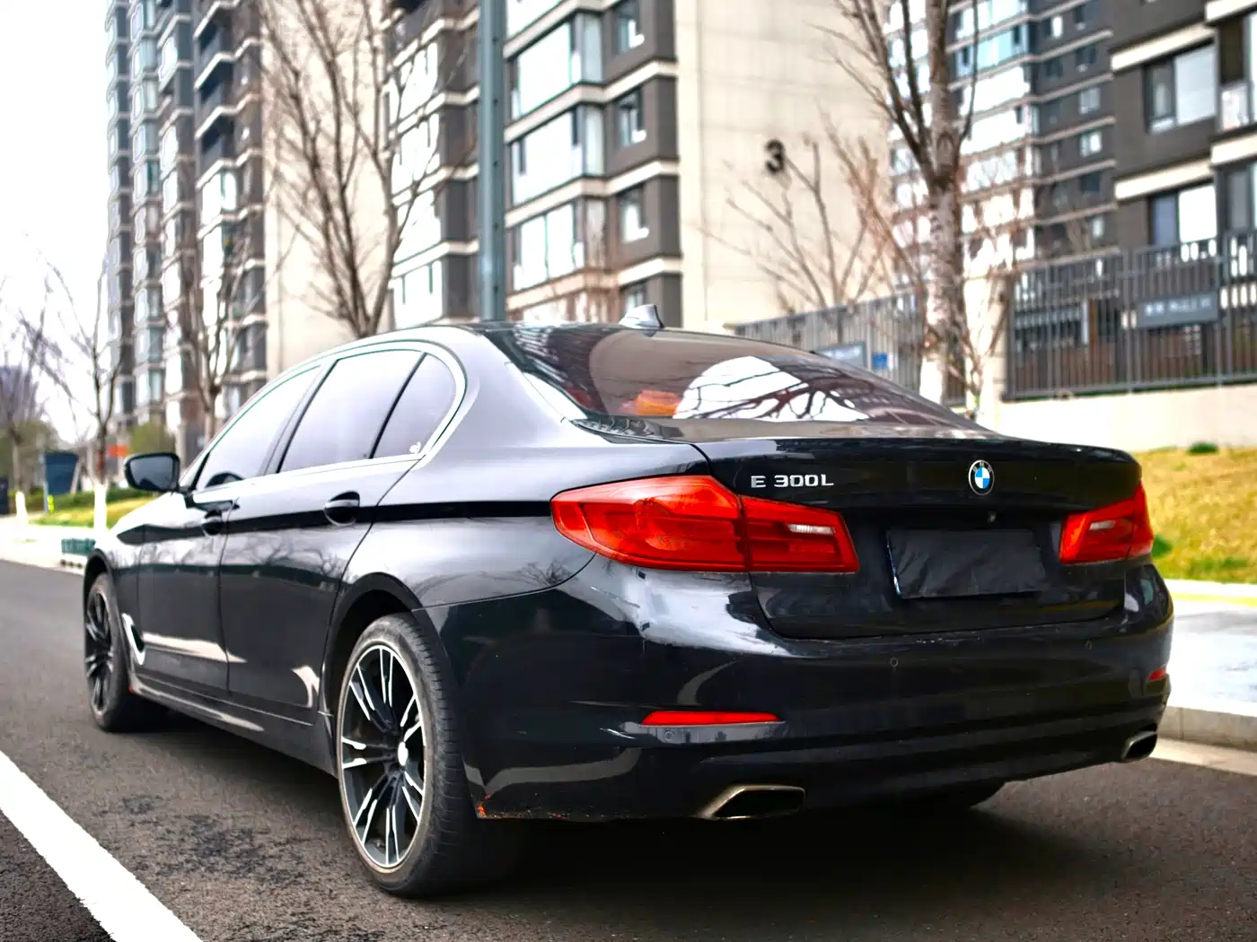 BMW 5 Series 2018 528Li Launch Special Edition фото 5