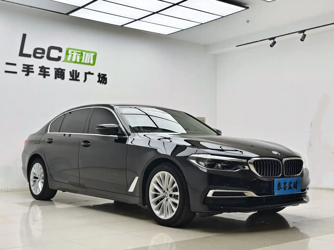 BMW 5 Series 2020 530Li Leading Luxury Package фото 3