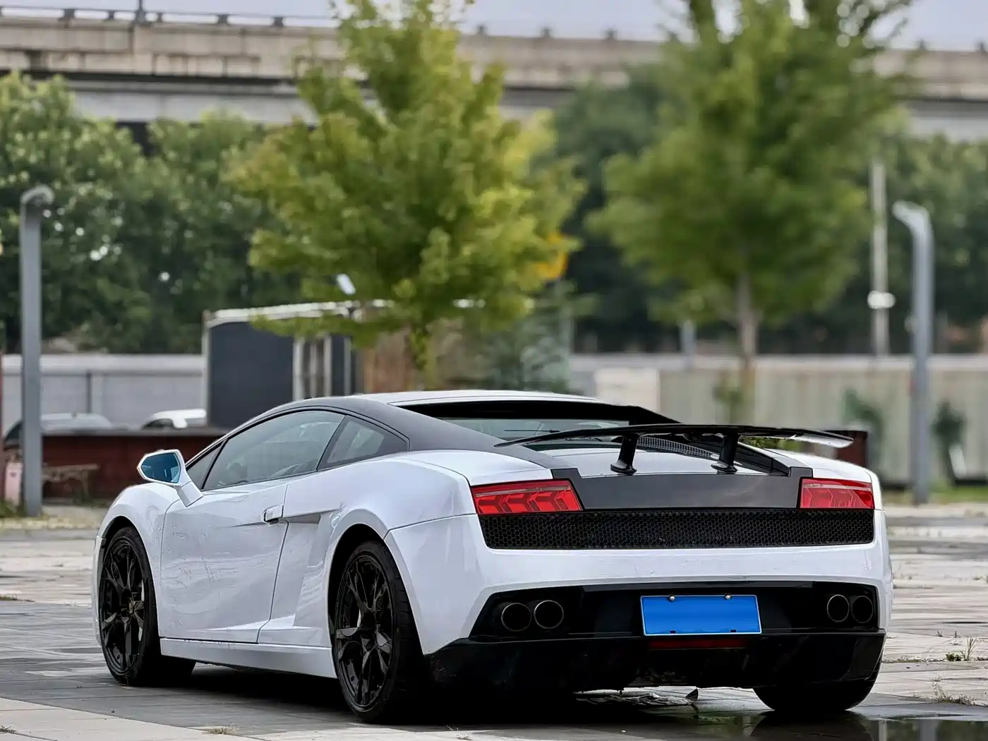 Lamborghini Gallardo 2009 2008 LP 560-4
