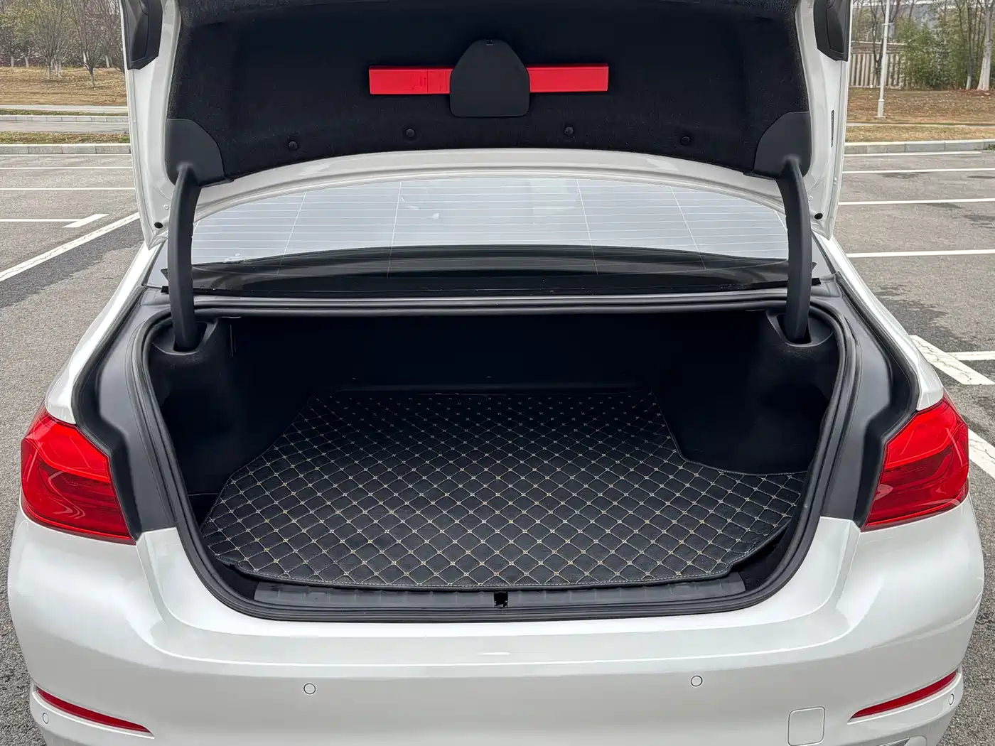 BMW 5 Series New Energy 2020 530Le Range Upgrade Luxury Package фото 21