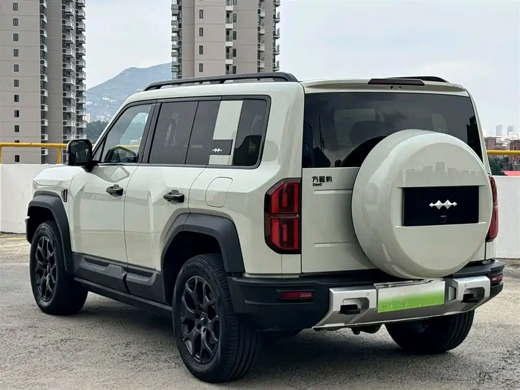 FANG CHENG BAO LEOPARD 5