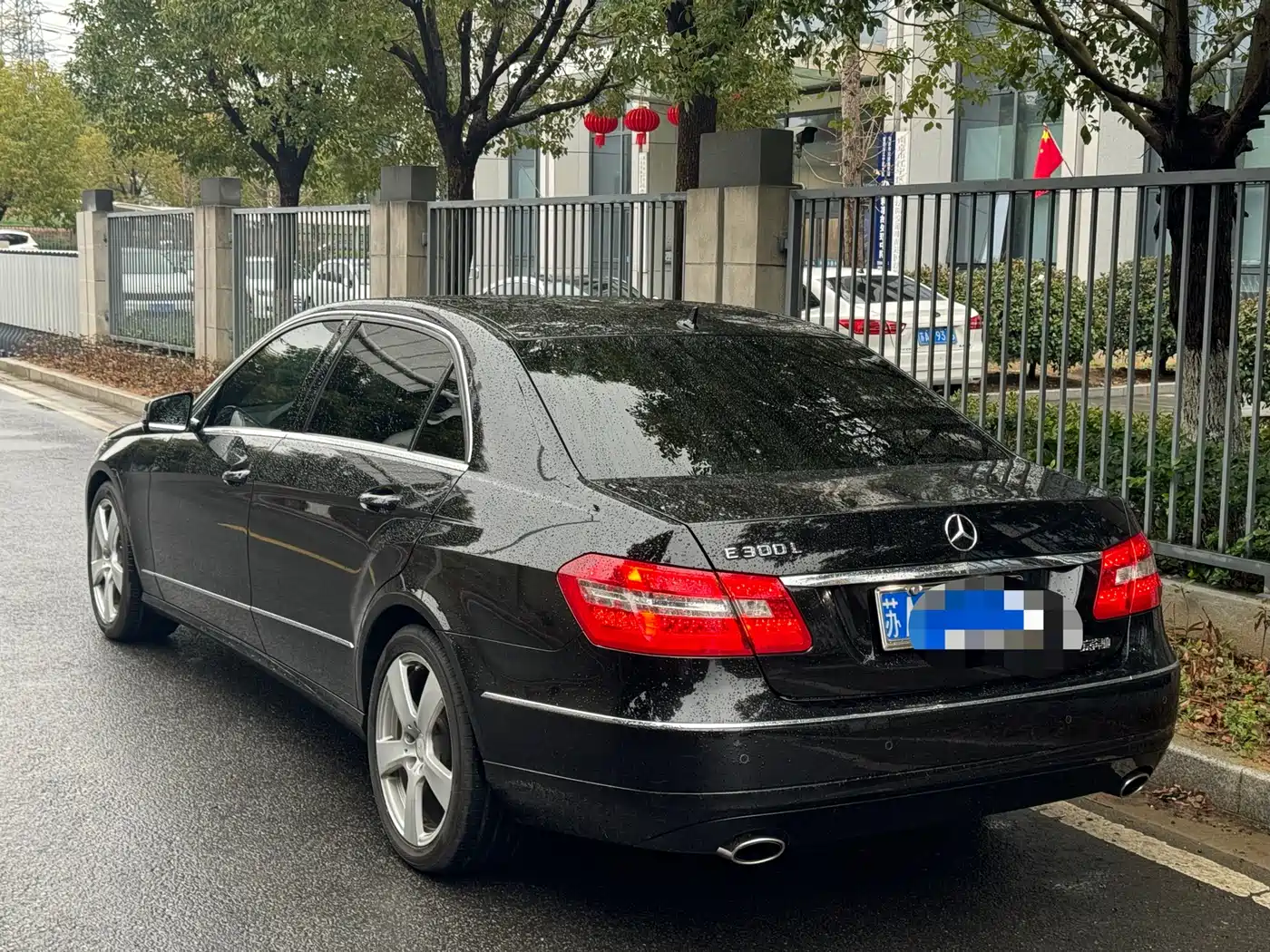 Mercedes-Benz E-Class 2013 E 300 L Elegance фото 3