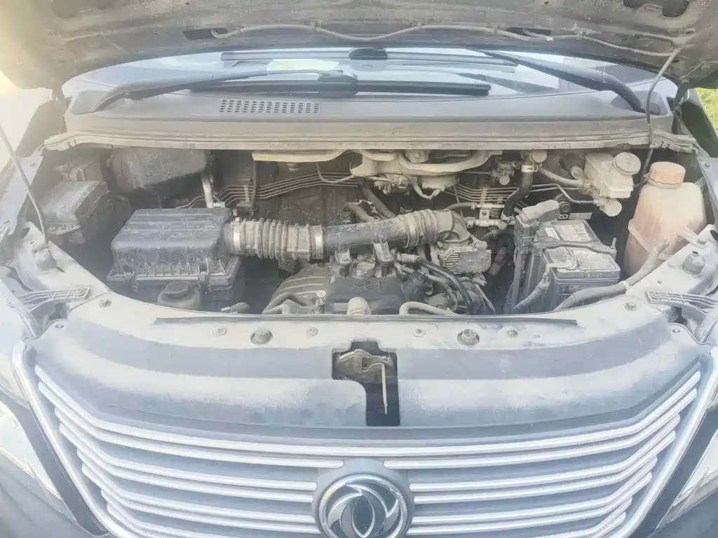 Фото 9 - Dongfeng Fengxing Lingzhi