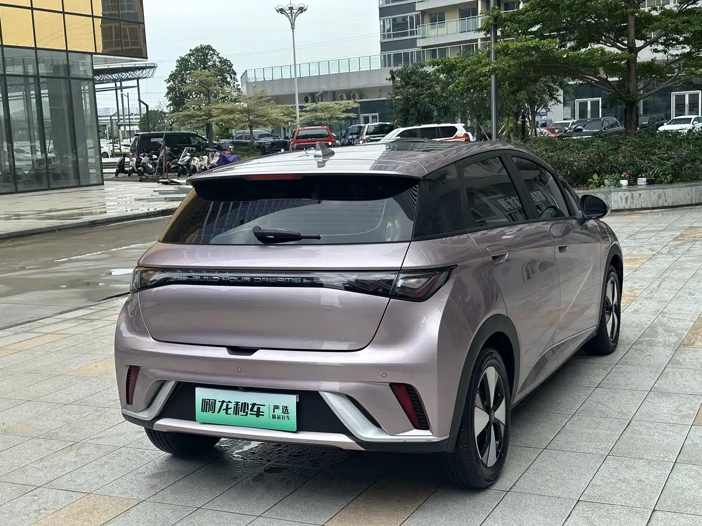BYD Dolphin 2023 420km Fashion Edition фото 22