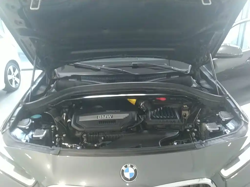 BMW X2 (Import) 2019 2019 sDrive20i M Off-Road Package China VI