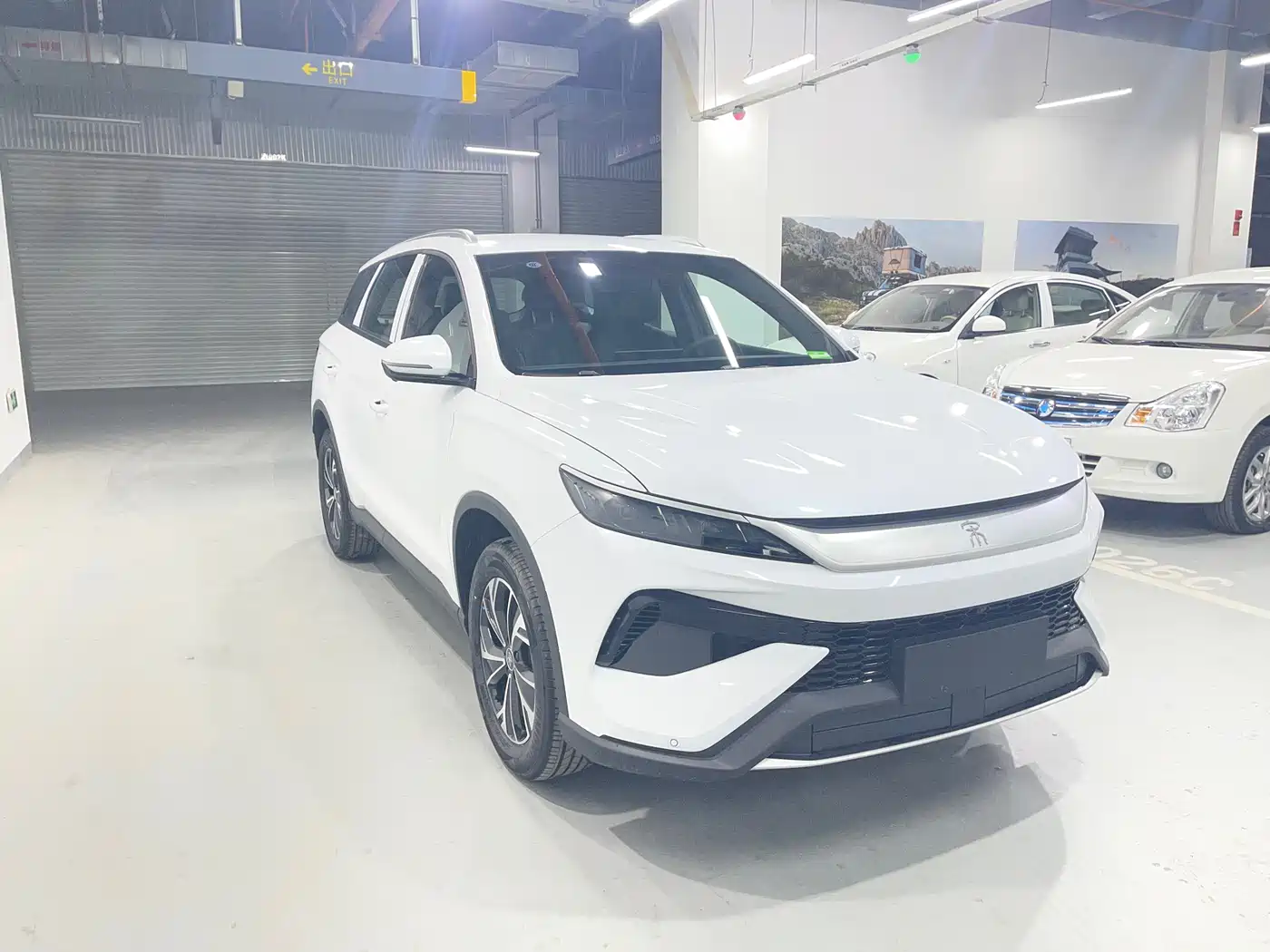 BYD Song Pro New Energy 2026 DM-i 133KM Progressive фото 3