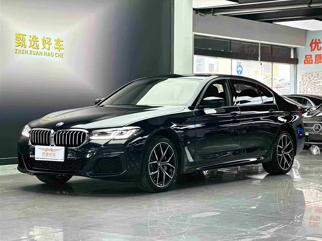 BMW 5 SERIES