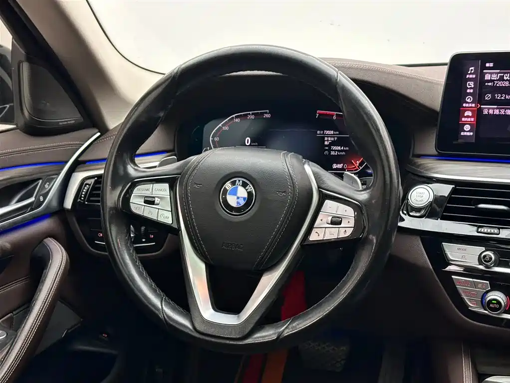 BMW 5 Series 2021 530Li Leading Luxury Package фото 12