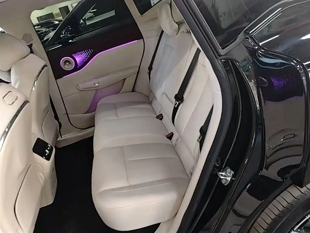 Voyah Auto Voyah Zhiyin 2025 Base фото 17