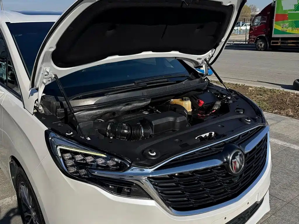 Buick GL8 2021 ES Landlord 653T Premium фото 7