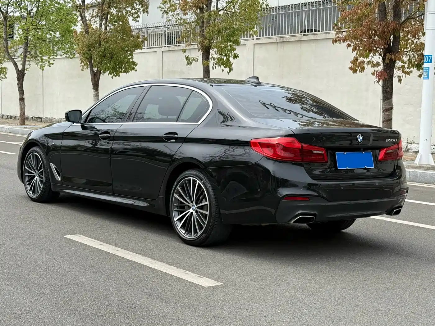 BMW 5 Series 2020 530Li Exclusive M Sport Package фото 7