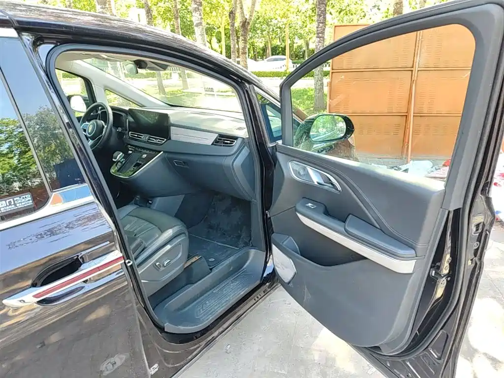 Hongqi HQ9 PHEV 2024 Model 2.0T AWD Business Edition фото 23