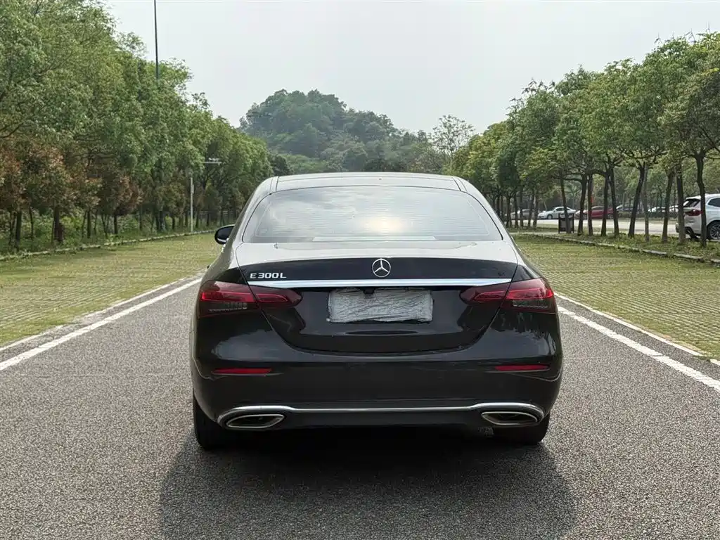 Mercedes-Benz E-Class 2021 E 300 L Luxury фото 8