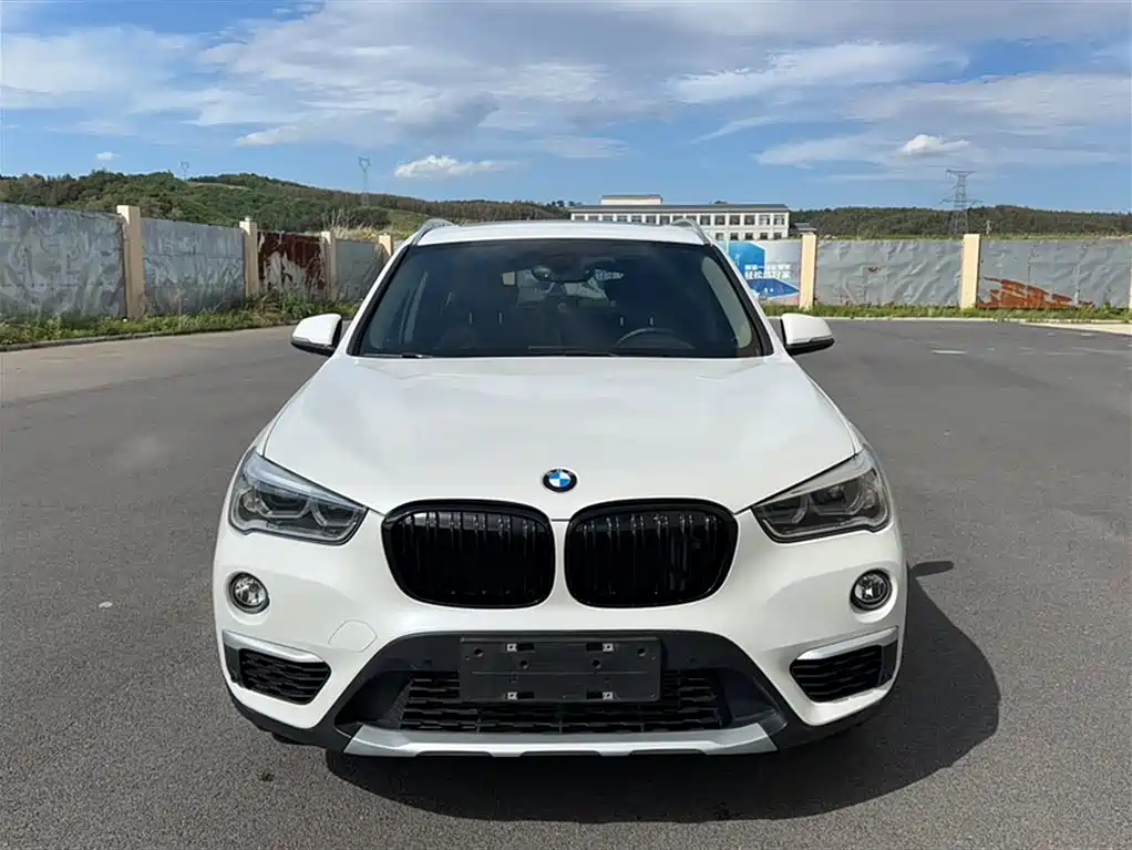 BMW X1 2016 sDrive20Li Luxury Model фото 8
