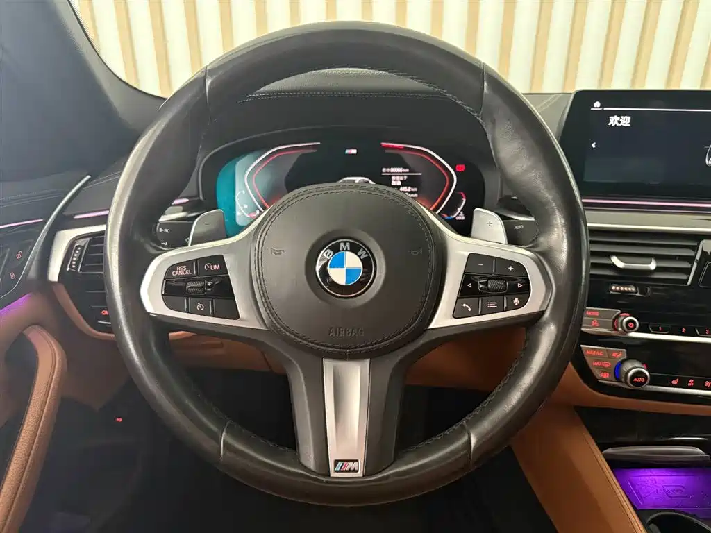 BMW 5 Series 2020 530Li Leading M Sport Package фото 6