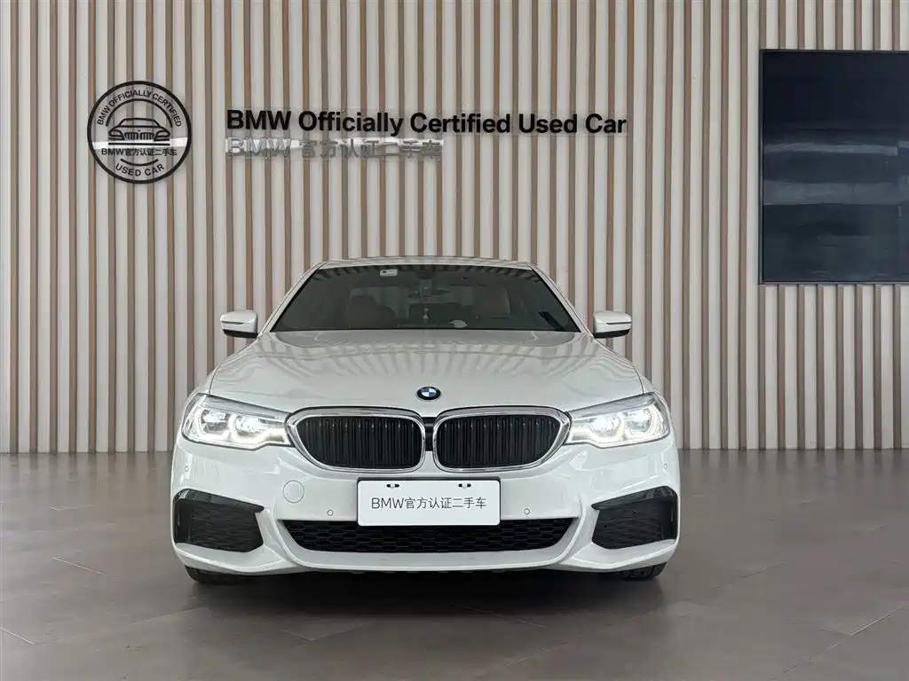 BMW 5 Series 2020 530Li Leading M Sport Package фото 2