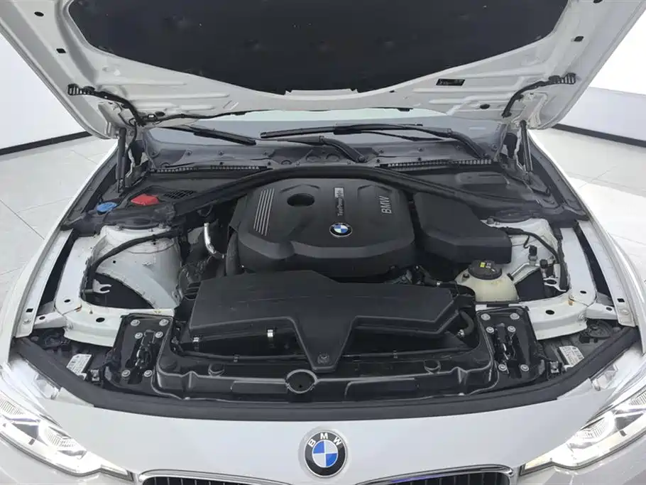 BMW 3 Series 2017 318Li Fashion фото 10