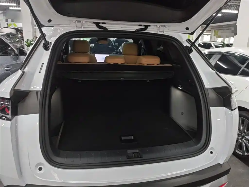 BYD Song L DM-i 2024 112km Leading Edition фото 19