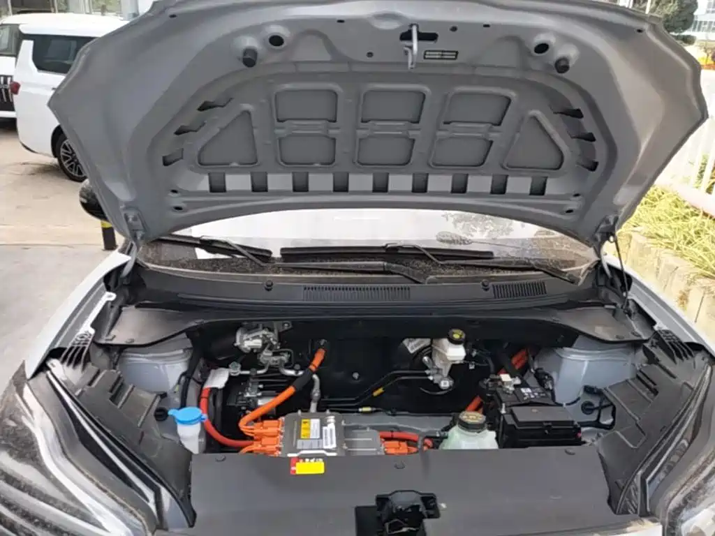 Wuling Motors Wuling Binguo PLUS 2026 2024 Model 330km 5-Seater