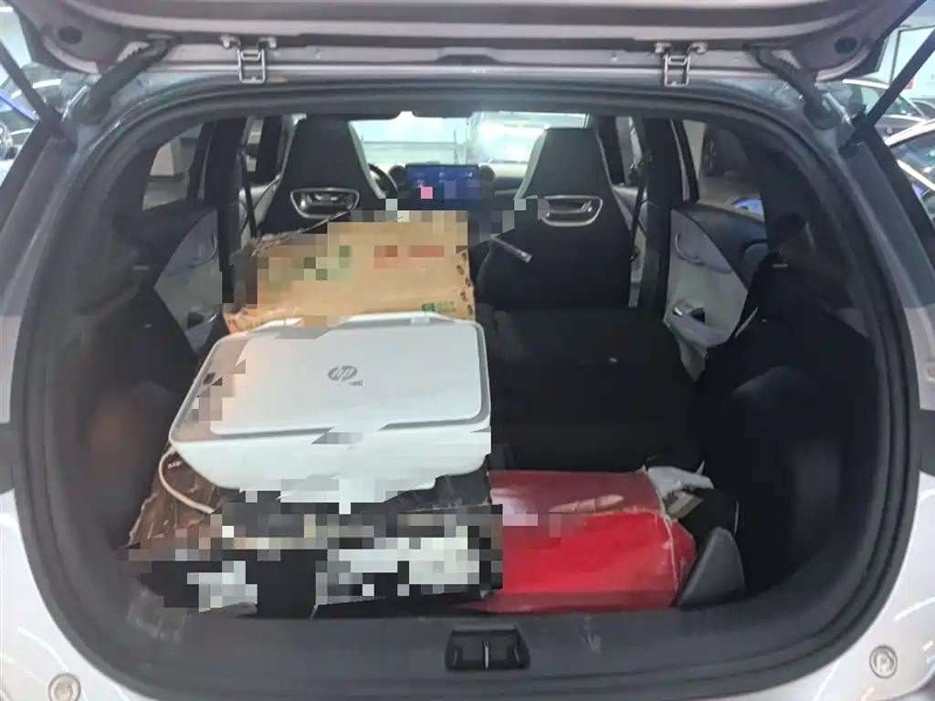 BYD Dolphin 2023 401km Knight Edition фото 19