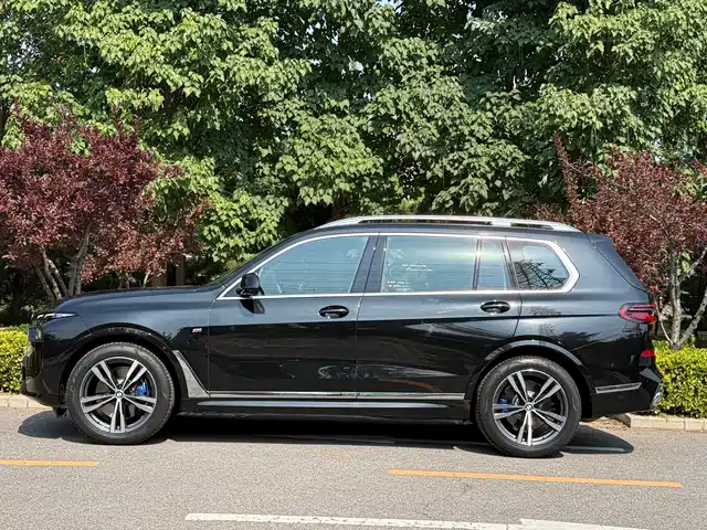 BMW X7, фото 2