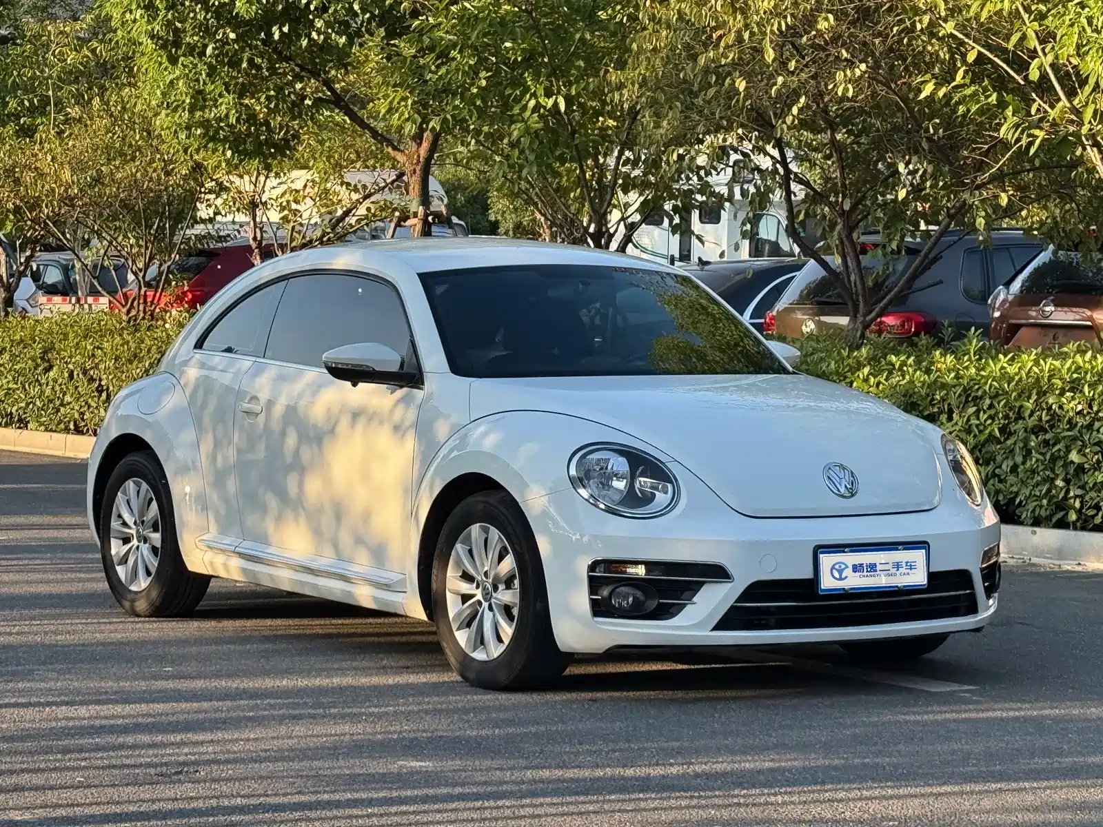 Photo 22 - Volkswagen Beetle