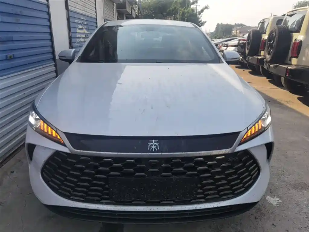 BYD Qin PLUS 2026 DM-i Smart Edition 128KM Progressive фото 3