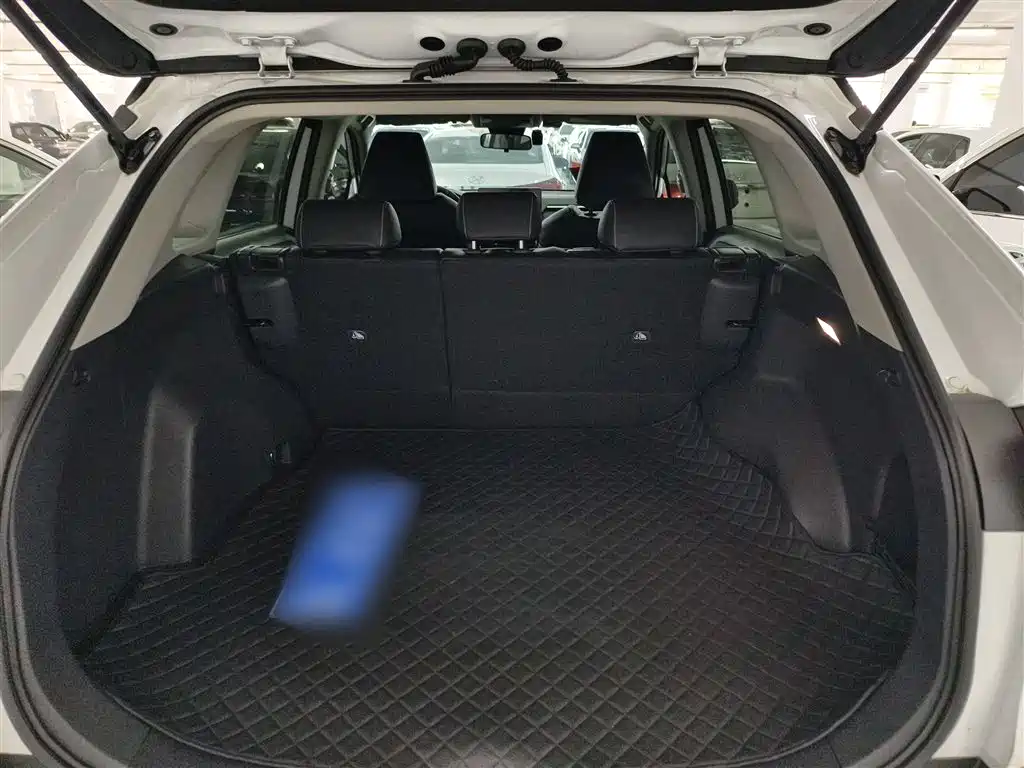 Toyota RAV4 Rongfang 2024 2.0L CVT FWD Urban Edition фото 15