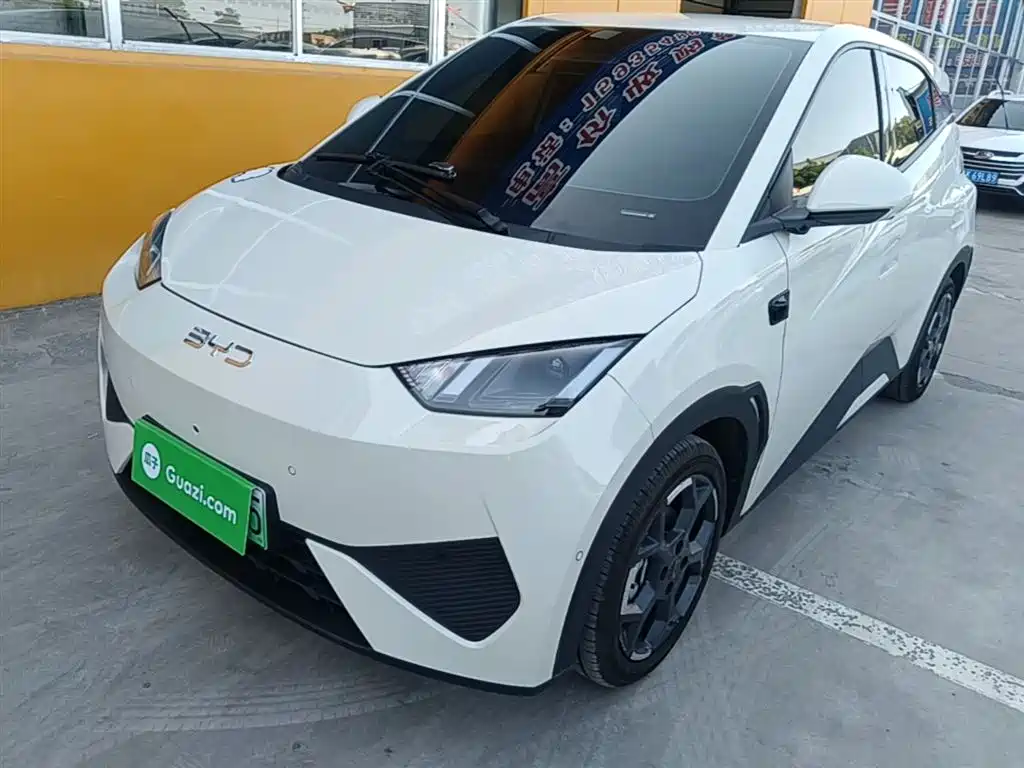 BYD Seagull 2025 Smart Drive Edition 305km Freedom Version