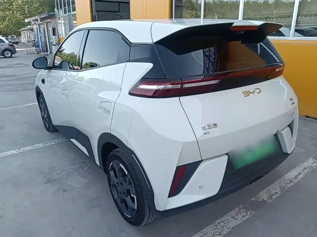BYD Seagull 2025 Smart Drive Edition 305km Freedom Version фото 5