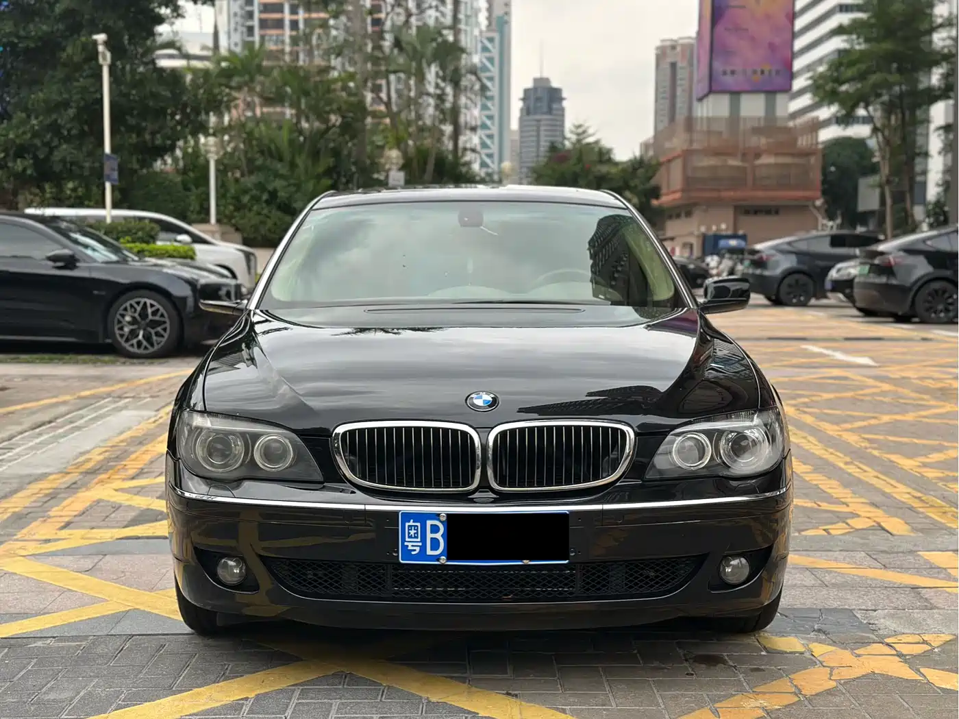 BMW 7 Series 2008 Model 730Li Classic Edition фото 2