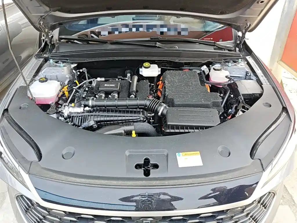 BYD Qin PLUS 2025 DM-i Smart Drive 55KM Leader фото 20