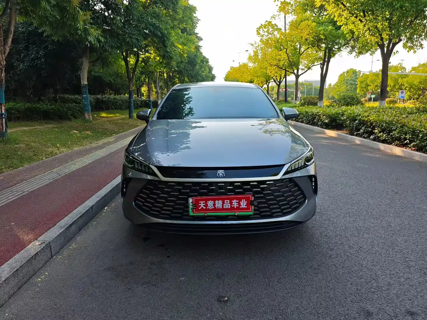 BYD Qin PLUS 2025 DM-i Smart Drive 55KM Leader фото 2