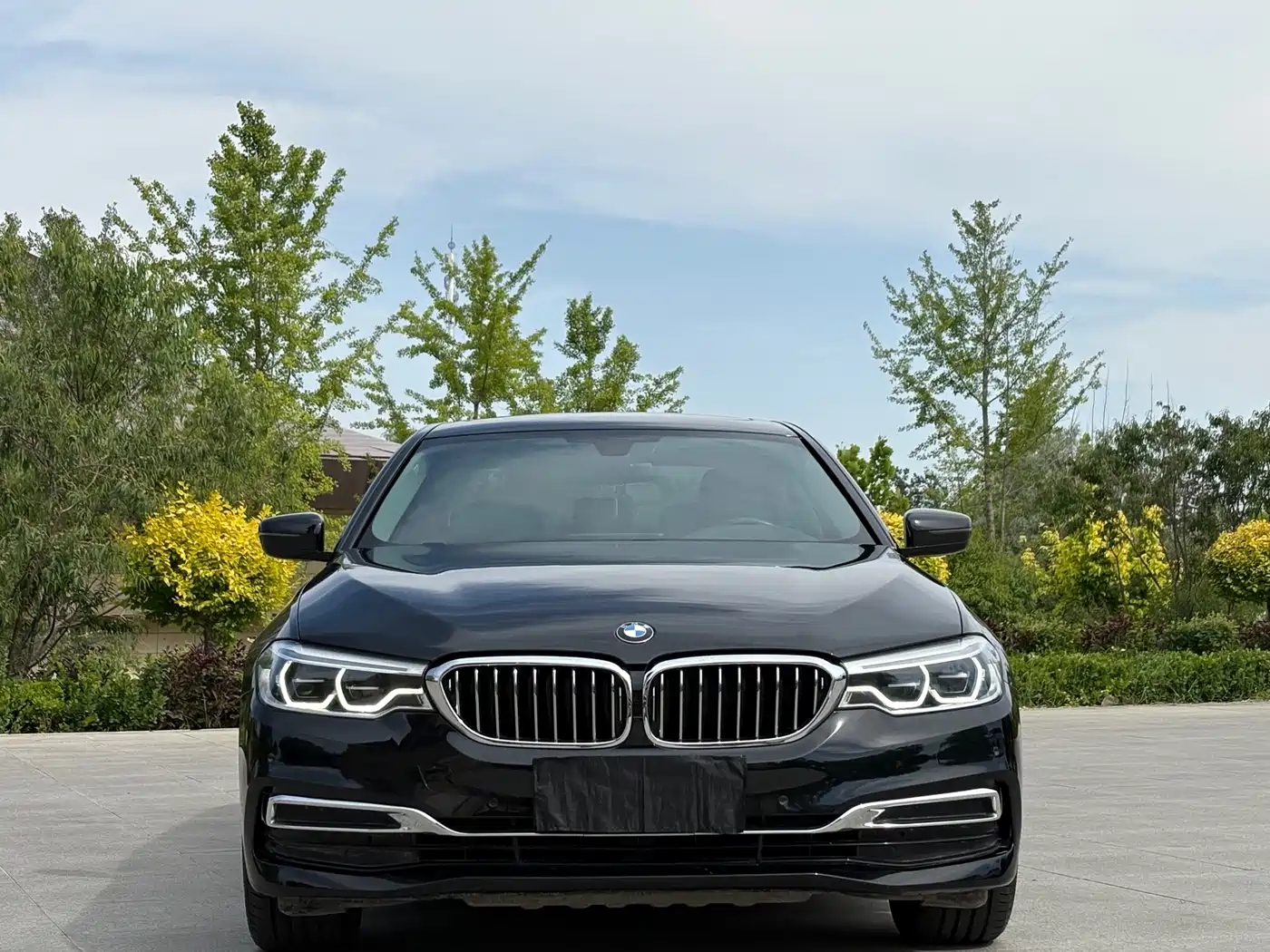 BMW 5 Series 2020 530Li Leading Luxury Package фото 2