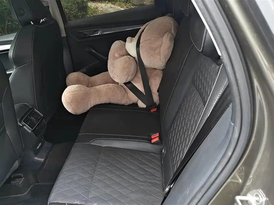 Škoda Karoq 2019 TSI280 Smart Drive Luxury Edition China V фото 11