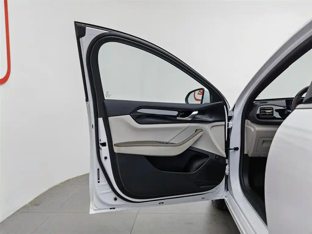 BYD Qin PLUS 2024 Glory Edition DM-i 55KM Leading фото 8