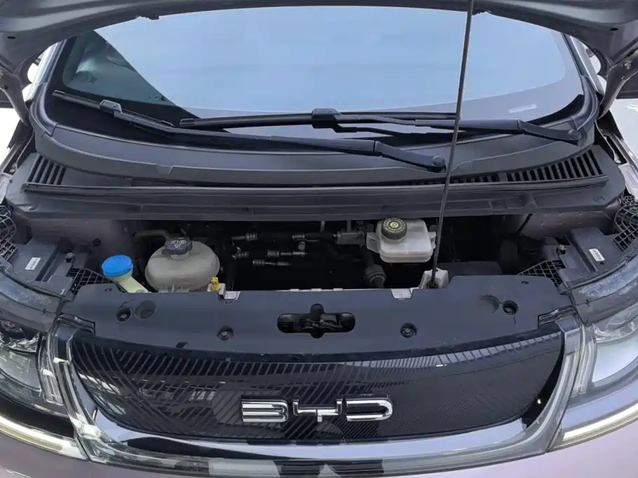 BYD Dolphin 2022 2021 Model 405km Fashion Edition