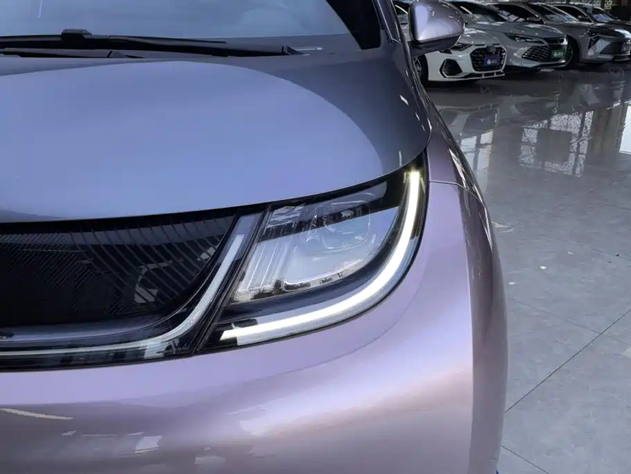 BYD Dolphin 2022 2021 Model 405km Fashion Edition