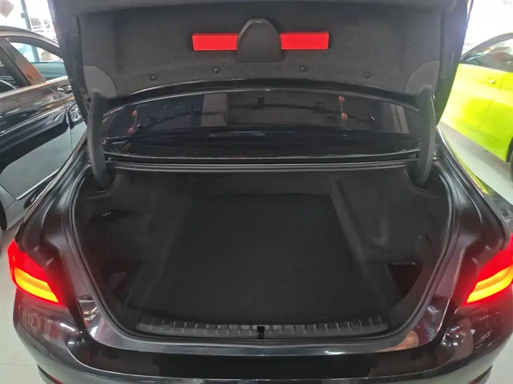BMW 5 Series 2018 Facelift 530Li Exclusive Luxury Package фото 19