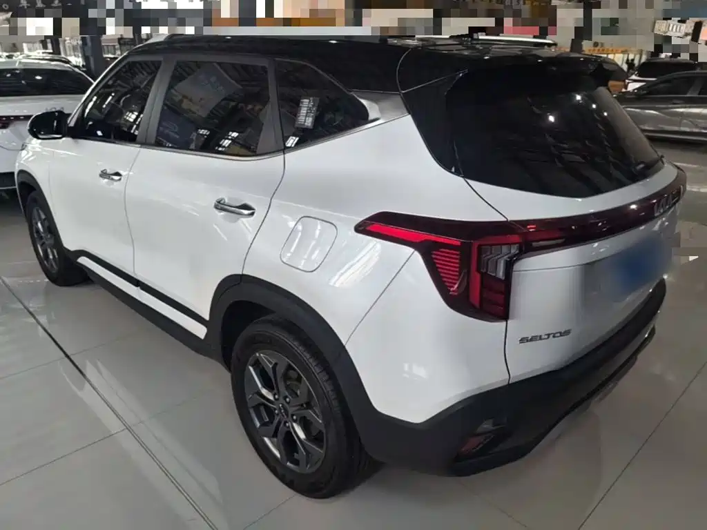 Kia Seltos 2024 2023 1.5L CVT Luxury Edition