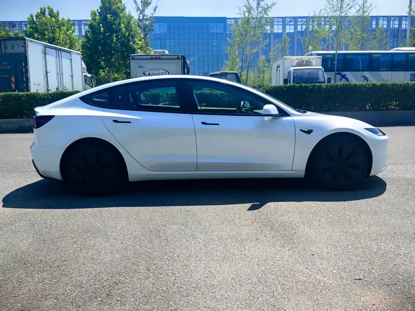 Tesla Model 3 2026 2025 Model Rear-Wheel Drive Edition