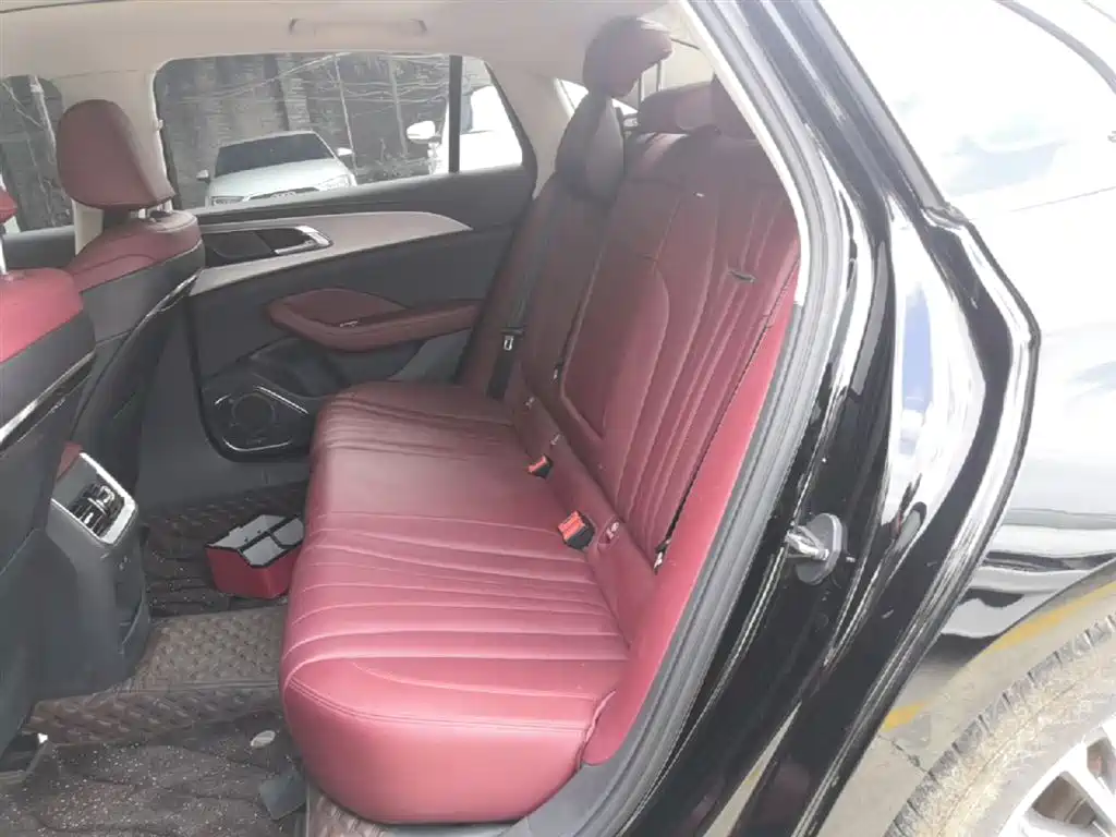 Hongqi H5 2024 2.0T Automatic Smart Connect Flag Enjoy Edition фото 17