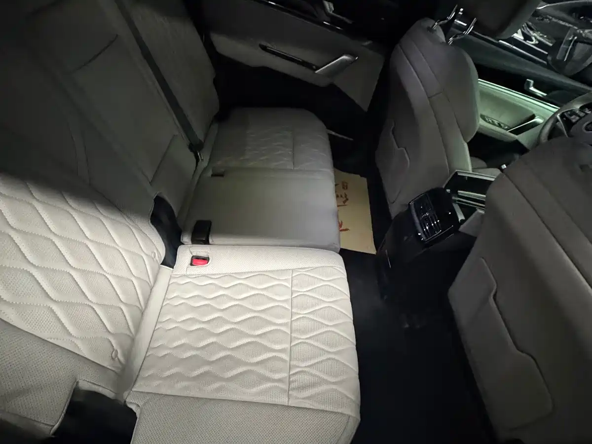 BYD Tang New Energy 2025 Smart Driving Edition DM-i 115KM Flagship фото 20