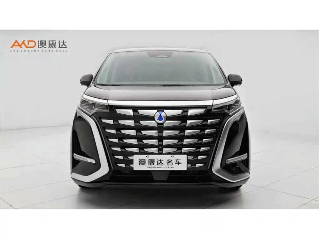 Denza D9 2022 DM-i 970 AWD Flagship фото 2