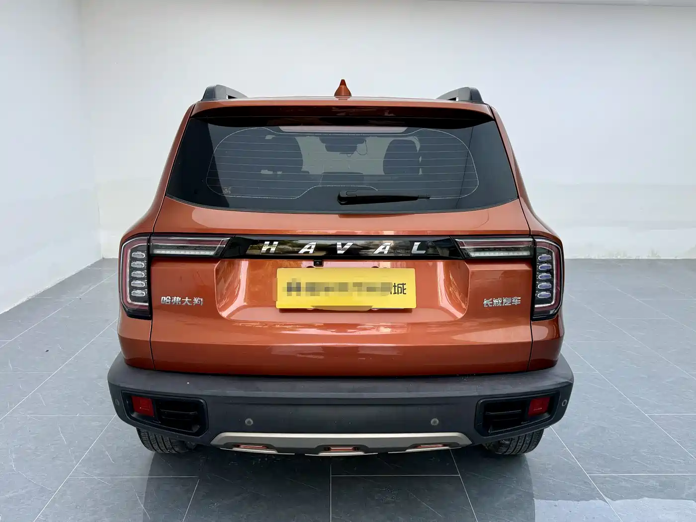 Haval Big Dog 2021 1.5T DCT 2WD Border Collie Edition фото 18